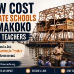 Low‑Cost Private Schools in Makoko Need Teachers – How to Land a Job Without Getting in Trouble with the Government